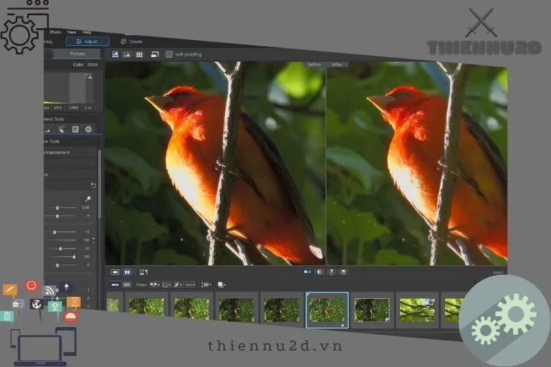 photodirector
